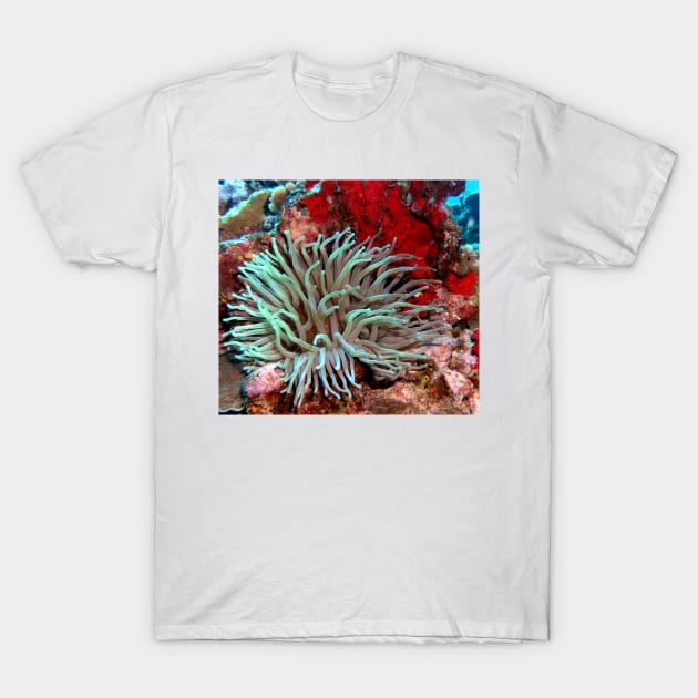 Giant Green Sea Anemone feeding near Red Coral Reef Wall T-Shirt by Scubagirlamy